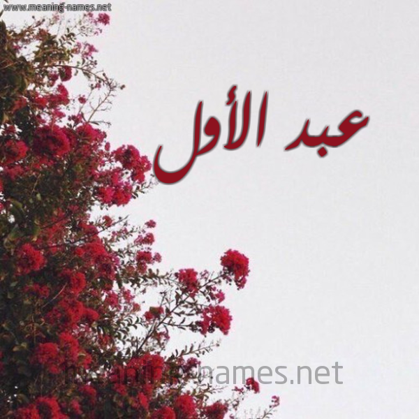 شكل 18 صوره الورد الأحمر للإسم بخط رقعة صورة اسم عبد الأول ABD-ALAOL